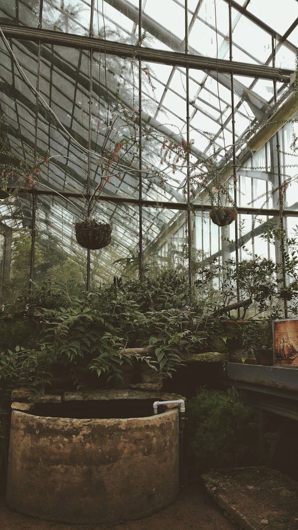 Construire un puits : un acte de sadaqa jariya significatif